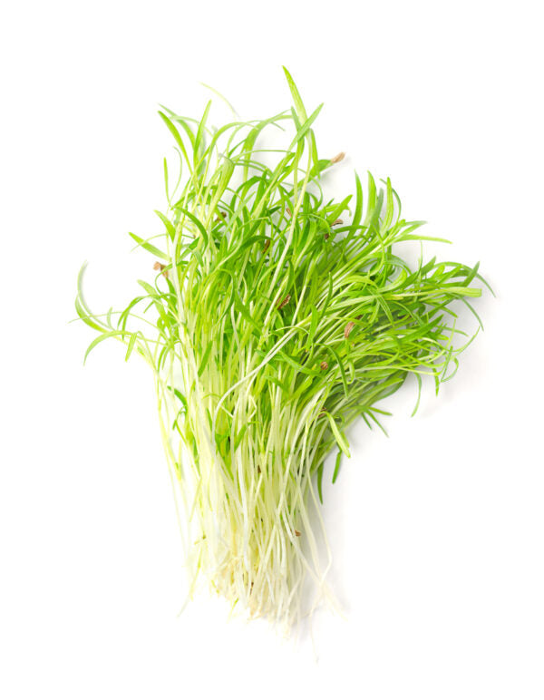 Only Grow Solutions and Supply, llc photo 6