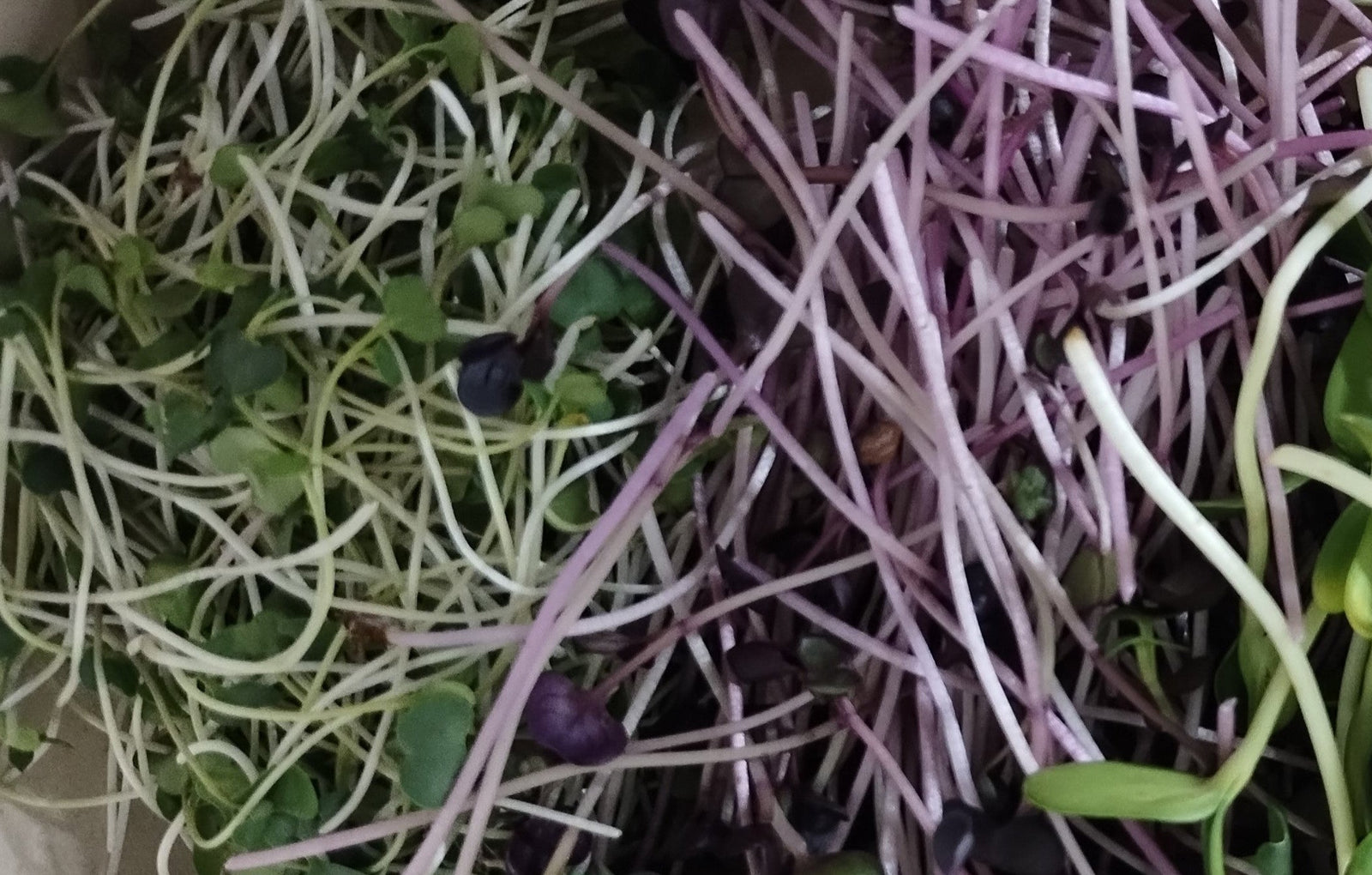 Only Grow Solutions and Supply, llc photo 2