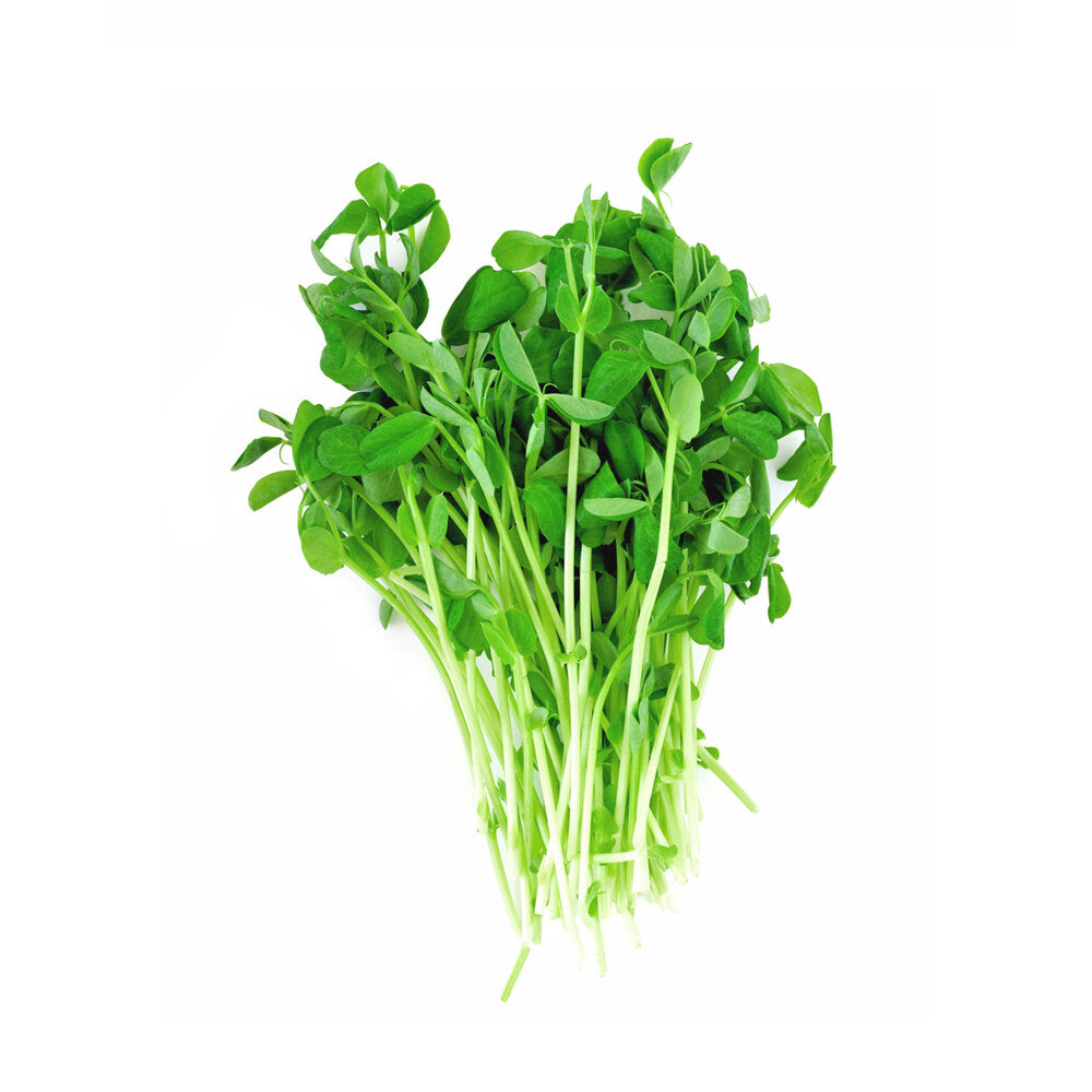 Only Grow Solutions and Supply, llc photo 5