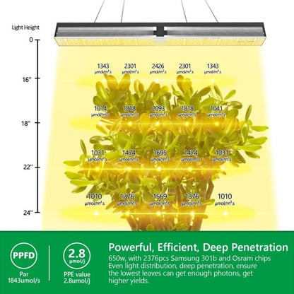 MARS HYDRO SP 6500 SAMSUNG LM301B 650W GREENHOUSE LED GROW LIGHT